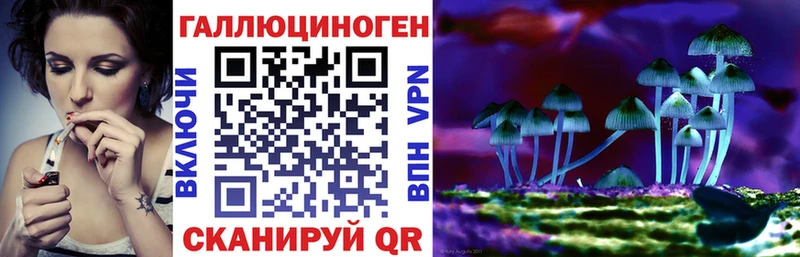 Купить закладки Демидов Псилоцибиновые грибы ЛСД
